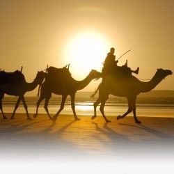 fezdaytrips travel agency