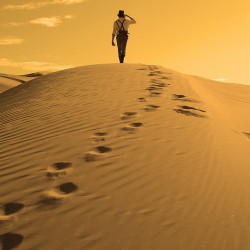 Desert day tour in morocco