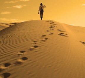 Desert day tour in morocco