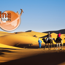 medina tours