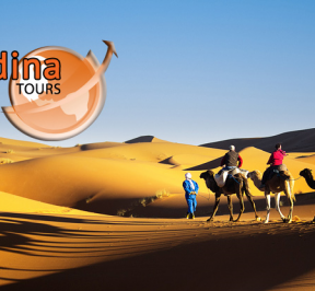 medina tours