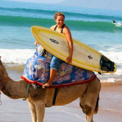 omega tour fes medina, travel agency