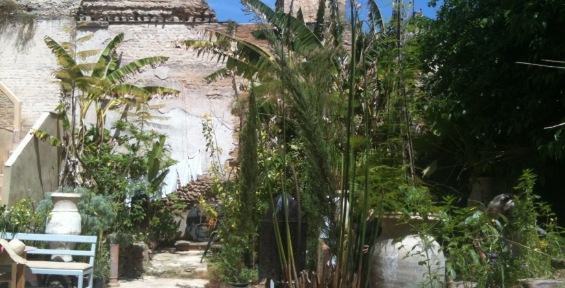 ruined garden fes medina fez