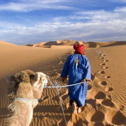 mustang travel agency