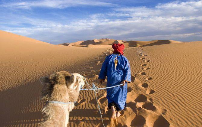 mustang travel agency