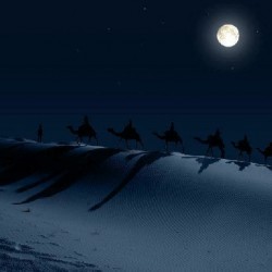 morocco safari tours