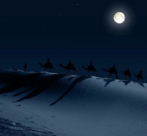 morocco safari tours