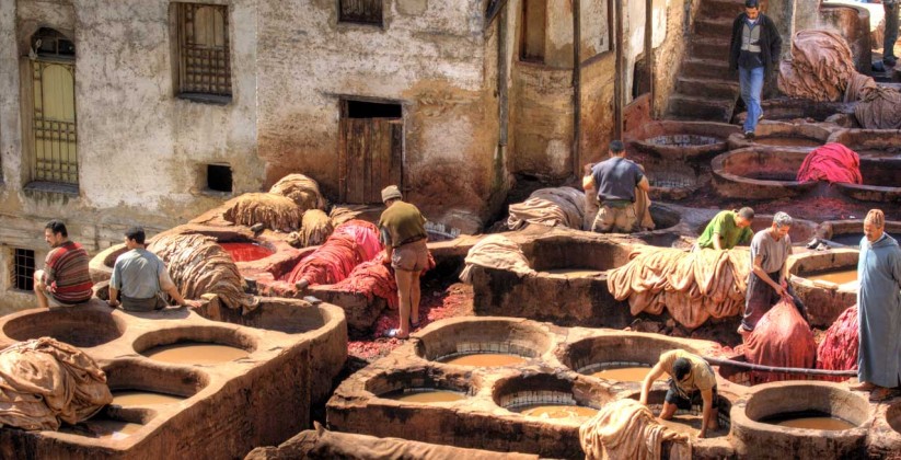 tannery Chouara, fez, Morocco