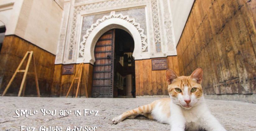 Nejjarine Museum of Wooden Arts & Crafts in Fez city - fes medina