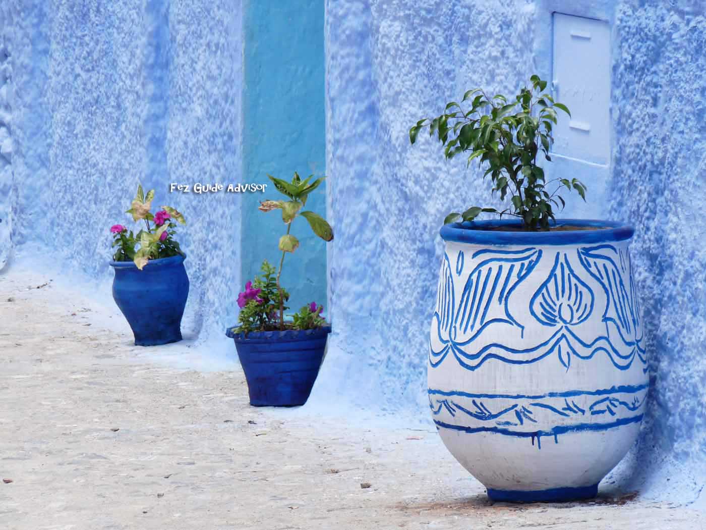 day trip from fes to chefchaouen