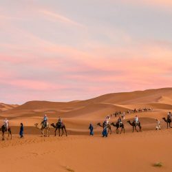 MOROCCO DESERT FUN CLUB COMPANIONSHIP.