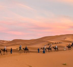 MOROCCO DESERT FUN CLUB COMPANIONSHIP.