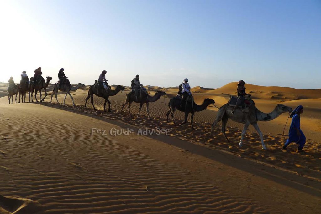 Fes desert tours, camel trekking