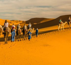 Morocco desert tours