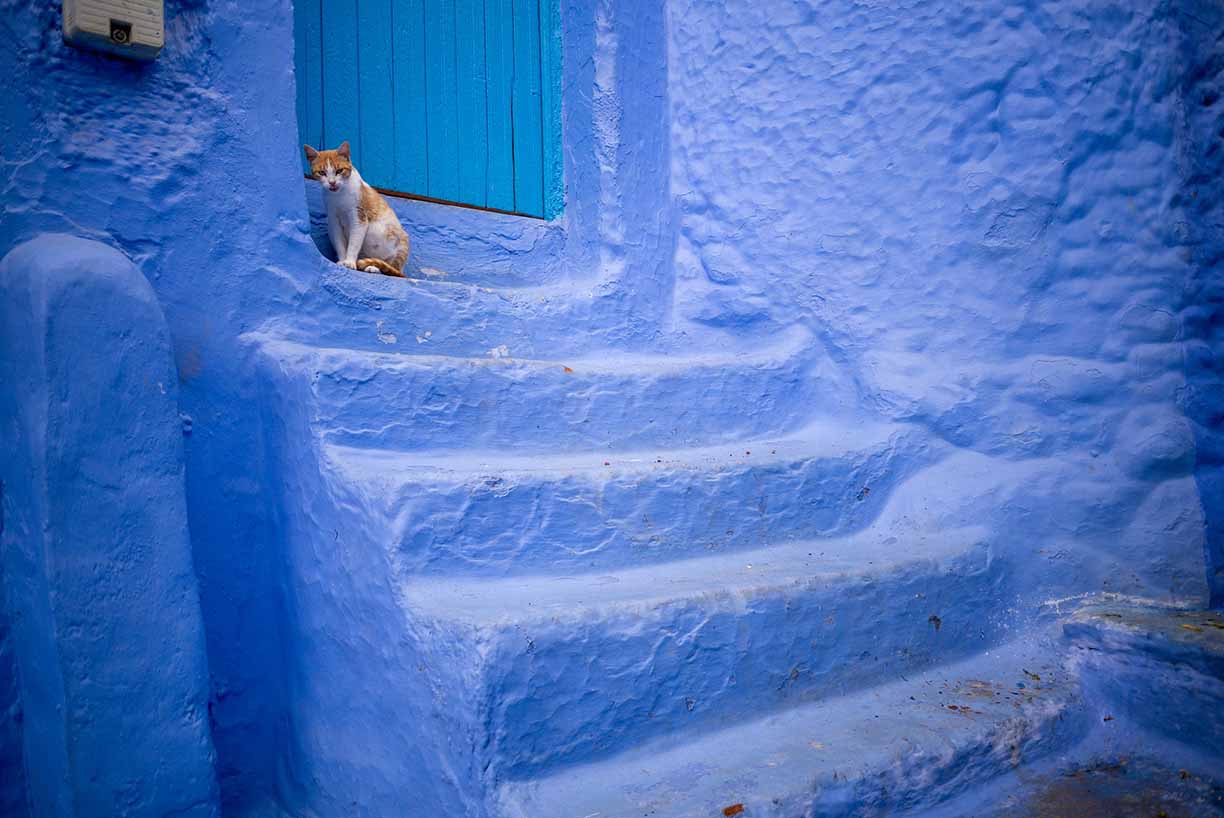 chefchaouen, the blue city of Morocco